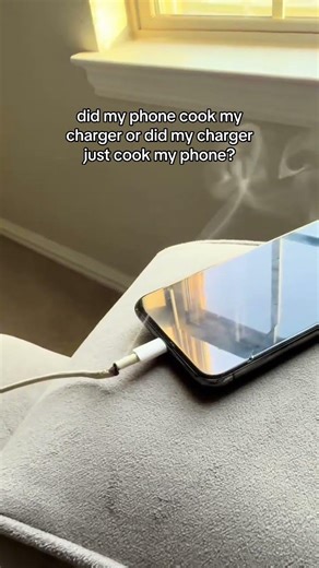 did my phone cook my charger or did my charger just cook my phone?