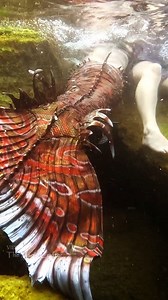 4.2M views · 8.5K reactions | Who caught who? 隆‍♀️ This video shows...