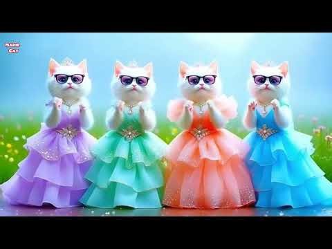 Cosmic Cats Song - The Singing Cat Catchy Tune #funnycats #dancingcat