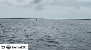 Bayrippers on Instagram: "#thirsty Thursday with some rooster tail from @hellkat30 #mercuryracing #cat #offshore #performance #boating #screamandfly #twins #bayrippers"