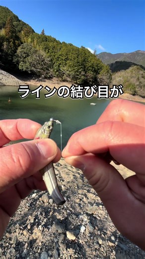 バス釣りのコツと楽しみ方
