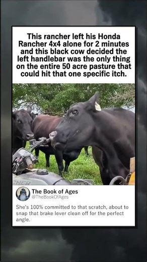 COW COMMITTED TO BREAKING YOUR ATV