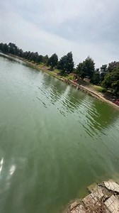 Một chút khoe hồ. Nay hồ bồi 300kg rô phi size 2,5kg trở lên nha. cá sắp về tới òi | Hồ Mùi Lê