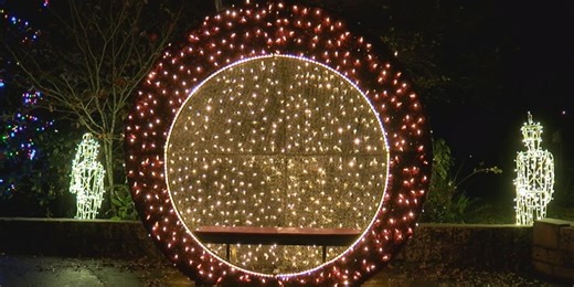 The Rose Garden to become centerpoint of Tyler’s holiday season