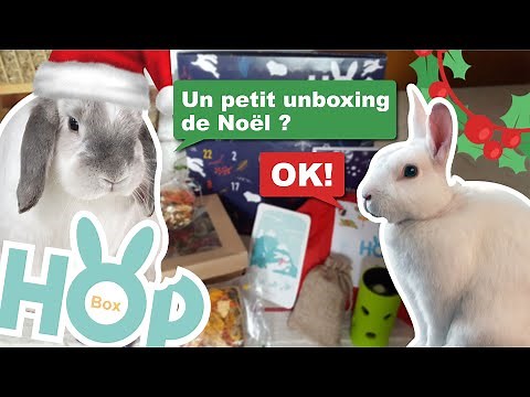 Une box de Noël pour mes lapins - #unboxing HOP BOX