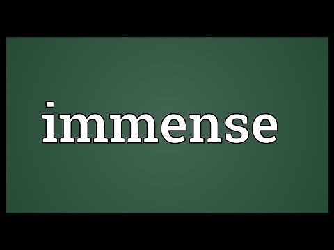 Immense Meaning