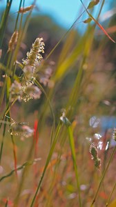 Never look for keys, remotes, or parking cards again.  Make your returns home easier and hassle-free.  With the Tedee app, you can now unlock gates and garage doors – no more clicking remotes or leaning out of car windows  The BleBox smart relay module is perfect for both private homes and shared properties like residential buildings, condominiums, or townhouses. Read more about BleBox smart relay module: https://tedee.com/product-info/tedee-smart-relay-module/ | Tedee | Facebook