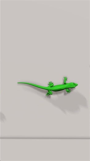 Video For Cats To Watch Lizard & More: #cattv