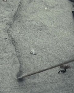 1.8K reactions · 72 shares | Our new EP 'Caravans To The Outer Worlds' in out now. Pick up a copy or listen on your favourite platform! | Enslaved | Facebook