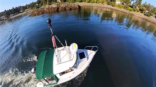Island shoreline mapping shows high levels of modification