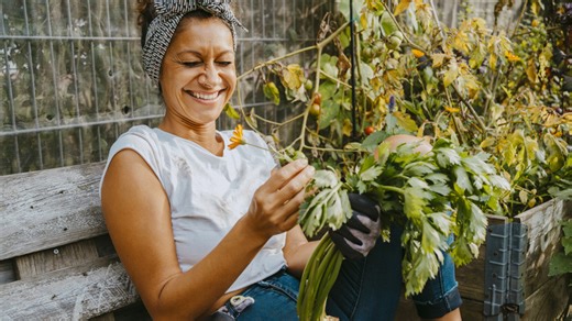 A DIY garden bench that'll blend seamlessly into your yard