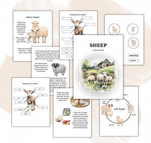 Sheep Unit Study, Life Cycle, Anatomy, Nature Study, Science, Homeschool Printable, Montessori, Instant Download - Etsy UK