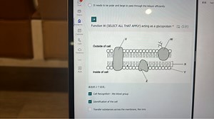 请选择 2 个选项。Cell Recognition - like blood groupIdentification o... | Filo