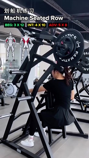 Plate-loaded Rowing Machine Muscle Training Enhance your back strength and muscle endurance fast with the plate-loaded rowing machine! This exercise primarily targets your latissimus dorsi, rhomboids, and trapezius. Use our high-quality fitness equipment to ensure each workout is safe and effective. Want to learn more about professional fitness equipment? Visit our website now. 🌐 Website: https://dub.sh/fitness-equipment 📲 WhatsApp: 86 18117160701 Note: At home, you can substitute with dumbbel