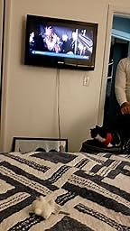 Gen7Pets Regal Plus Dog Stroller - Gray Shadow Pet Stroller