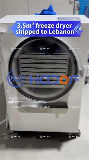 3.5m² Freeze Dryer for Dairy and Pet Food Processing