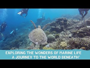 Exploring the Wonders of Marine Life: A Journey to the World Beneath
