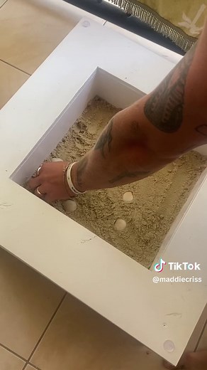 DIY Hermit Crab Table: Creative Outdoor Decor Ideas