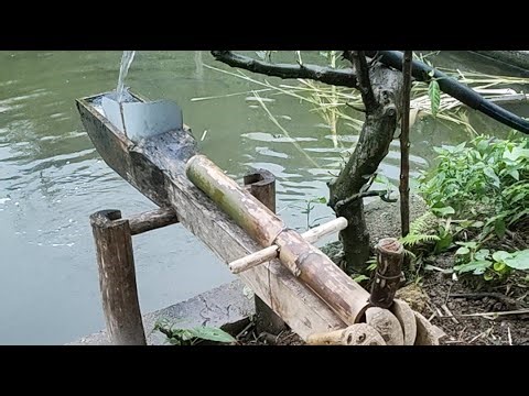 Minh HGTV đang phát trực tiếp!