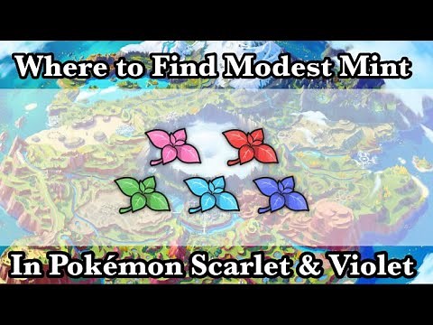 Where To Find The Modest Mint in Pokémon Scarlet and Violet BEFORE the Post Game!