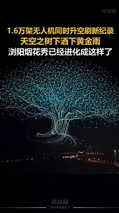 108K views · 3K reactions | Over 16,000 drones took off simultaneously to break the record, with a "golden rain" falling beneath the "Sky Tree"—Liuyang's fireworks show has evolved into something like this. | Beautiful places in China | Facebook