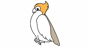 Simple coloring page with a Cockatoo ♥ Online or Printable for Free!
