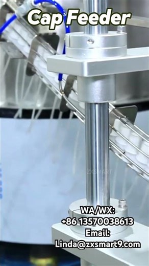 Automatic Cap Feeder#cappingmachine #sealingmachine #automationequipment #packingmachine #factory