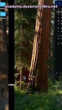 🐳 docker run/exec -it bash - Enabling the Interactive Console on the Container - 12 - Part 2