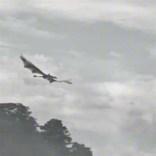 ‏رجعوا من تاني ؟ 😔#ايغون_الثاني #سنفاير #hotd | house of dragon season 2 ep 3