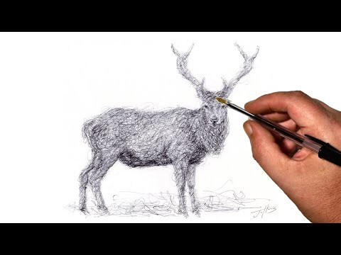 Reindeer Scribble Art Drawing