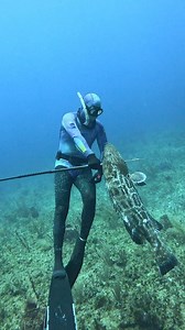 Expert Level Underwater Hunting | Ryan Myers