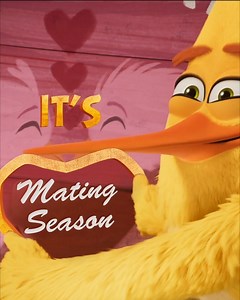 18 reactions · 12 comments | Looking for love? It's mating season  #AngryBirdsMovie2 is in cinemas September 12! | The Angry Birds Movie | Facebook