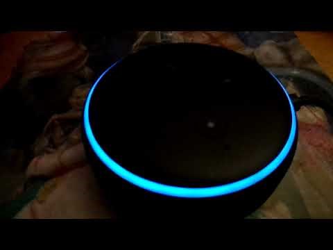 Alexa-Echo Dot Poop Detective