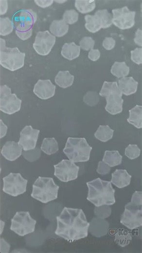 Did the snow grains just move… slightly? ❄️👁️