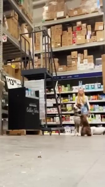 4.8K views · 54 reactions |  Real World Training Unleashed at Off...