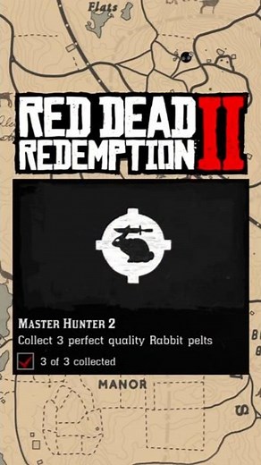 Collect 3 Perfect Quality Rabbit Pelts | MASTER HUNTER 2 TIPS! #RDR2 #Shorts