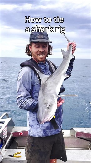 Essential Gummy Shark Fishing Rigs Explained