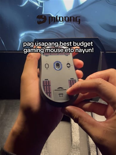 Molong MX301 Lightweight Gaming Mouse