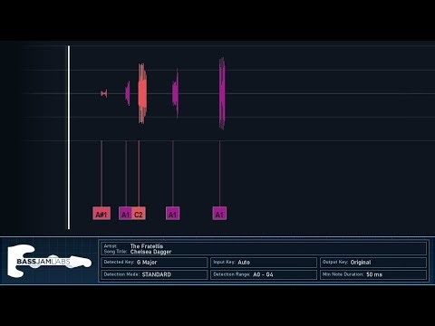 The Fratellis - Chelsea Dagger - NO BASS