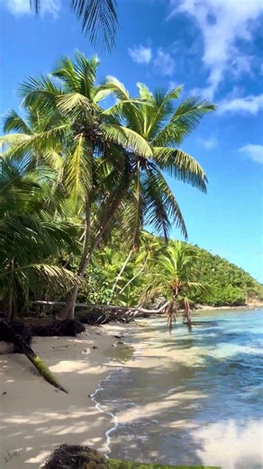 Walking on a secluded beach on St. Thomas, U.S. Virgin Islands.