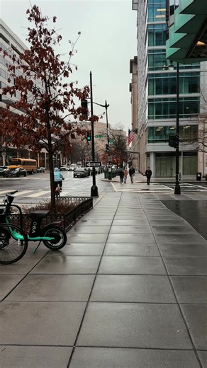 Exploring the Charm of Washington City