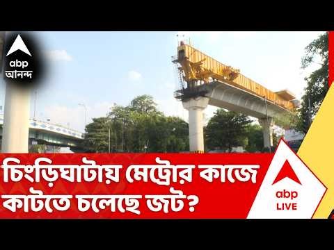 Chingrighata Metro: সুপ্রিম কোর্টের ভর্ৎসনার পর চিংড়িঘাটায় মেট্রোর কাজে কাটতে চলেছে জট