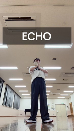 SEVENTEEN ECHO Dance Cover Challenge