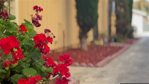 Man rejects $150K \u2018fraud' payment, but his insurance companies paid it anyway