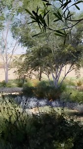 Not sure what to do with your large block? Revegetation is a really rewarding option. Here, we’ve created a species-rich plant community using mostly indigenous species. This will restore balance, support local ecosystems and invite wildlife back in. Biodiverse landscapes also help stabilise soil, reduce runoff and buffer against extreme weather. And research continues to show that biodiverse environments don’t just heal the land, they nurture our wellbeing too. It’s incredible to think that som