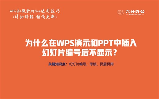 为什么在WPS演示和PPT中插入幻灯片编号后页面不显示
