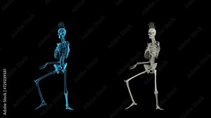 Skeleton dancing looping 3d animation with alpha channel and x-ray shade rendered . Stock Video