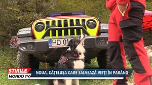 32K views · 879 reactions | ȘTIRILE MONDO TV - NOUA, CĂȚELUȘA CARE SALVEAZĂ VIEȚI ÎN PARÂNG | Mondo TV | Facebook