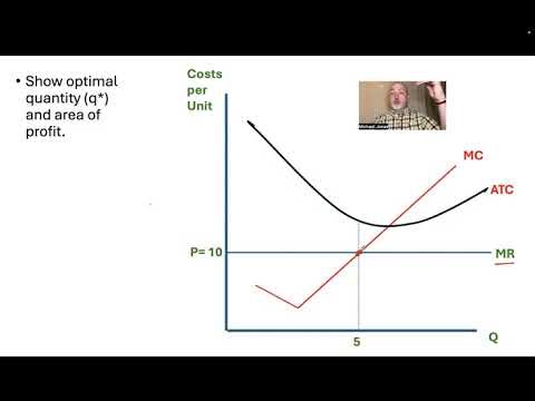 Perfect Competition Practice Problem
