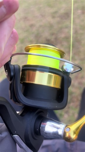 #koi #koifishign #secret #pond #bcf #WA #perthfisho #braid #ponds #perthsecretfishingponds #goldenponds #secret #perthfisho #viral #fypシ゚viral #relatable #respect #the #fish #dontflop #tiktokblowup #goviral #blowup #unlockmylikes #koi #carp #carpfishing #pinky #mulloway #samon #tuna #sharks #stingrays #fishing #japan #koi #whiteblackkoi #100klikes #salty #relatable #japankoi